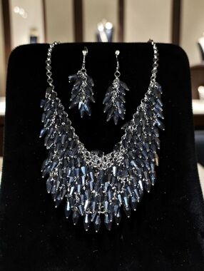 Sassified Boutique Nwt Statement Navy Crystal Fringe Necklace & Earrings Set